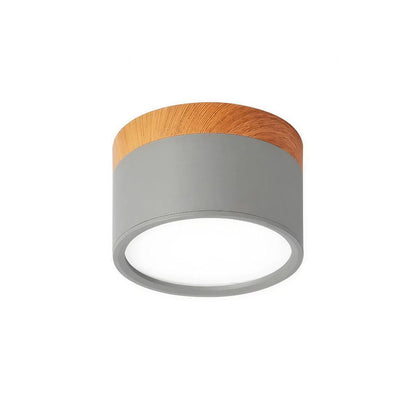 Cylindrical Flush Mount Downlight, Aluminum Body, Integrated LED, 10W, Two Sizes