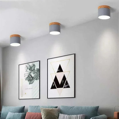 Cylindrical Flush Mount Downlight, Aluminum Body, Integrated LED, 10W, Two Sizes