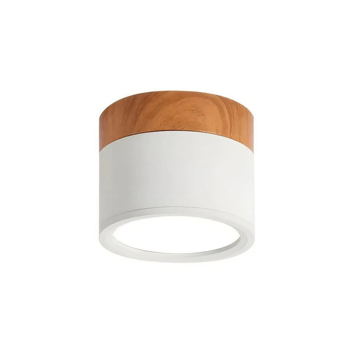 
Cylindrical Flush Mount Downlight, Aluminum Body, Integrated LED, 10W, Two Sizes